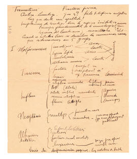 Manuscrito titulado "Fractura de pierna"