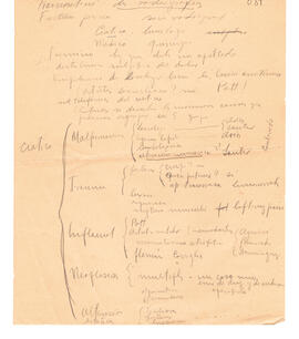 Manuscrito "Traumatismo Fractura Pierna. Diagnostico radiografía"